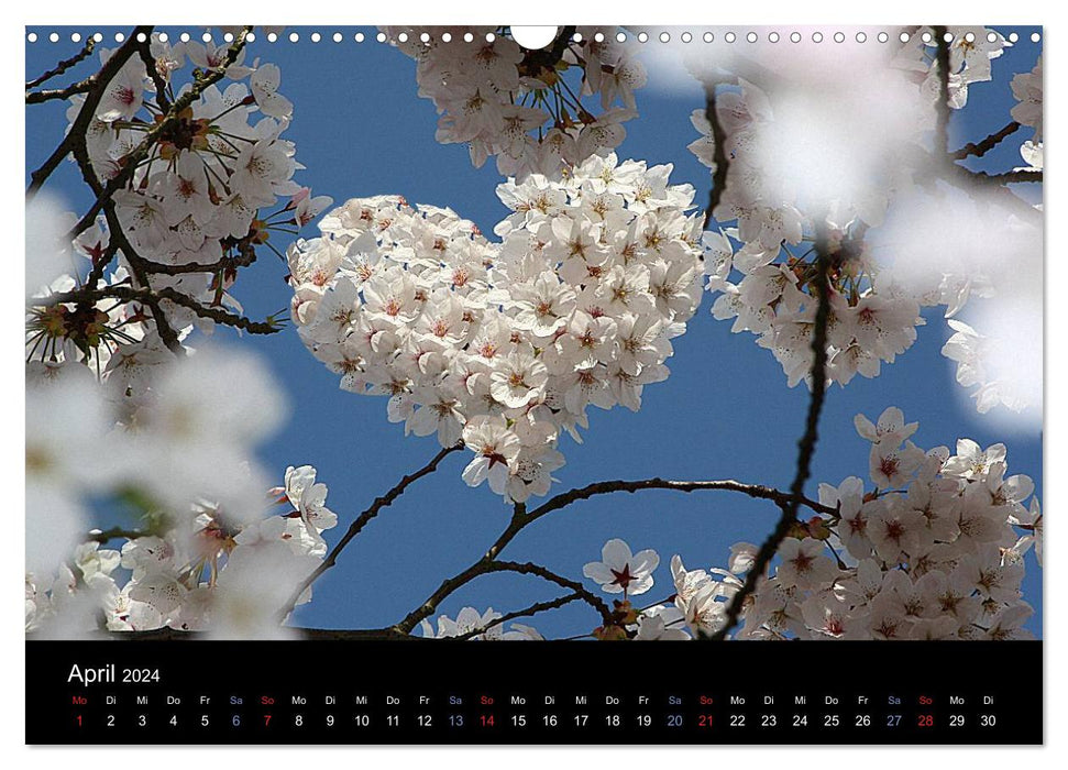 With a lot of heart through the year (CALVENDO wall calendar 2024) 