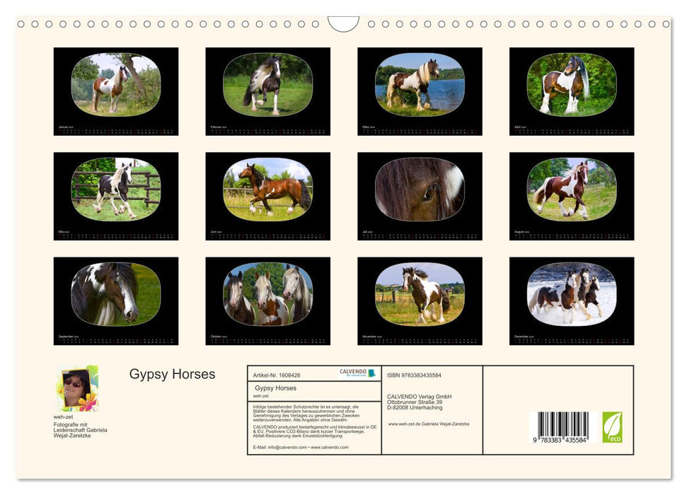 Gypsy Horses (CALVENDO Wandkalender 2024)