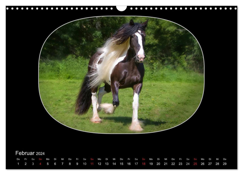 Gypsy Horses (CALVENDO Wandkalender 2024)