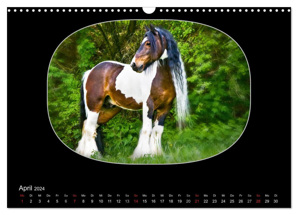 Gypsy Horses (CALVENDO Wandkalender 2024)