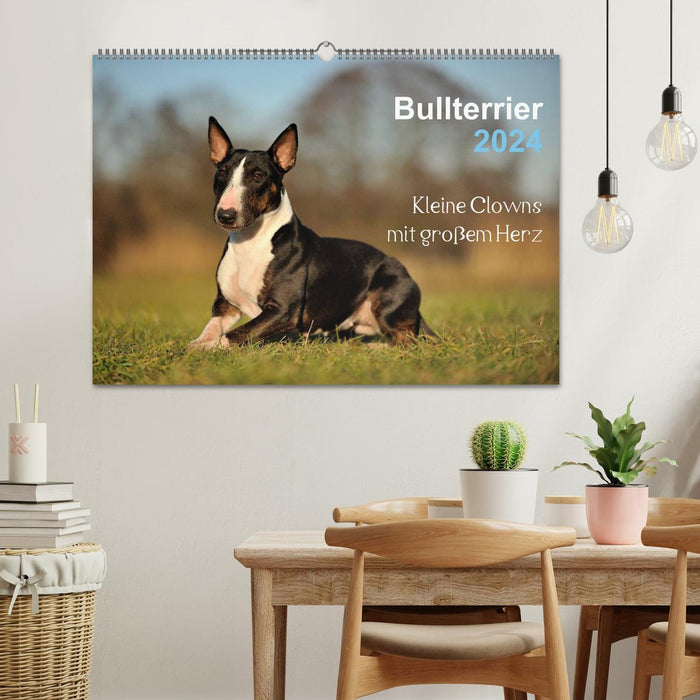 Bull Terrier 2024 - Little clowns with big hearts (CALVENDO wall calendar 2024) 
