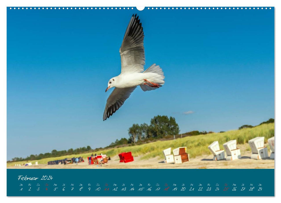 Blick auf die Halbinsel Fischland, Darß und Zingst (CALVENDO Premium Wandkalender 2024)