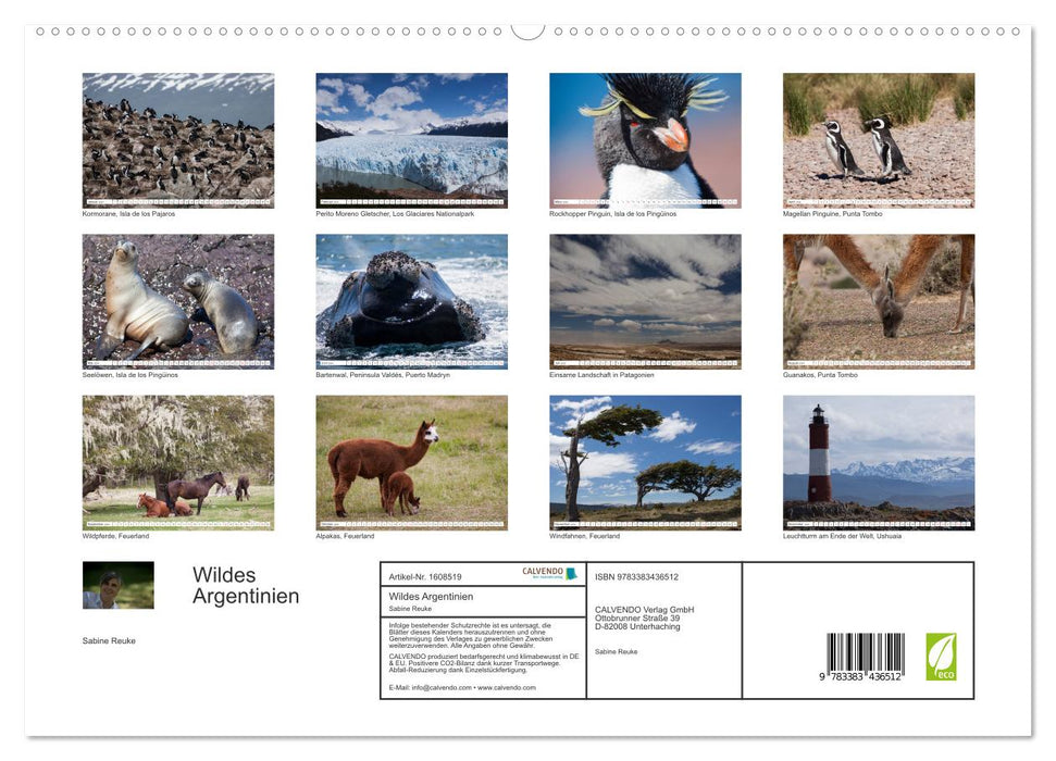 Wildes Argentinien (CALVENDO Premium Wandkalender 2024)