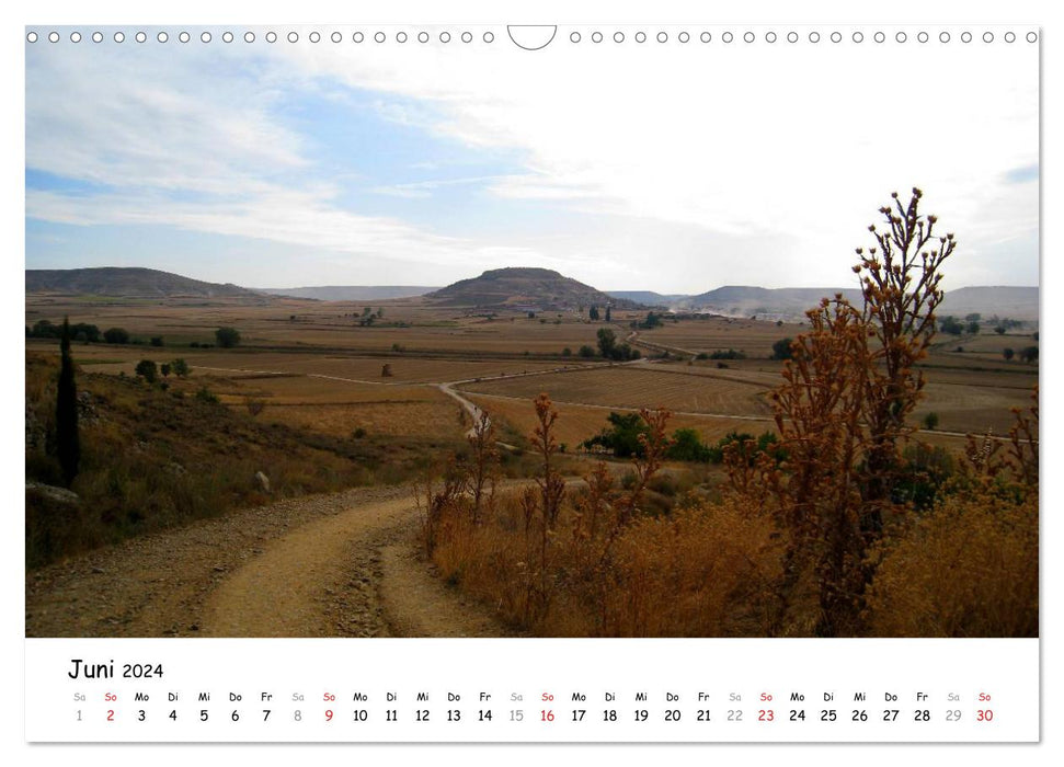 Camino Frances - Chemin de Saint-Jacques (Calendrier mural CALVENDO 2024) 