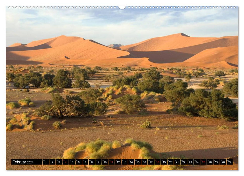 Die Namib (CALVENDO Wandkalender 2024)