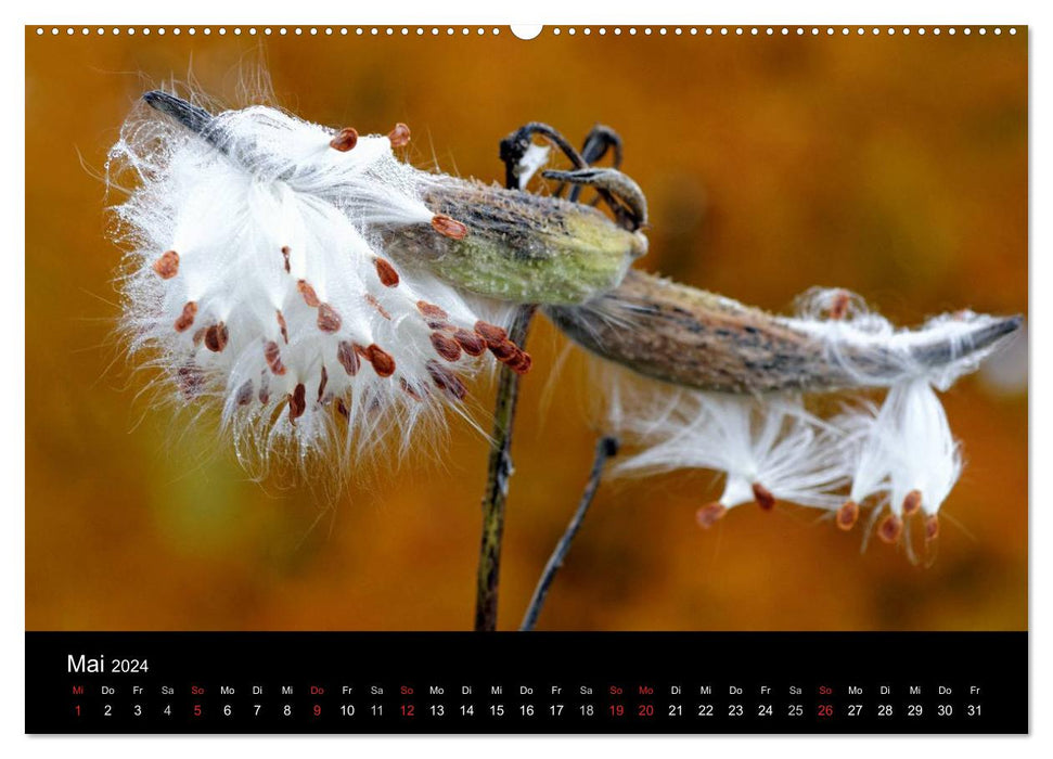 Herbst in Vermont (CALVENDO Premium Wandkalender 2024)