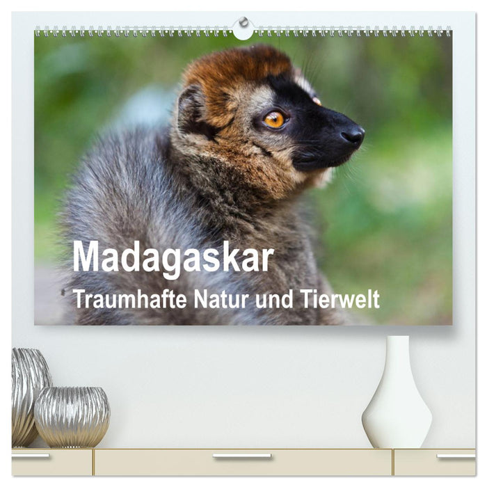 Madagascar. Fantastic nature and wildlife (CALVENDO Premium Wall Calendar 2024) 