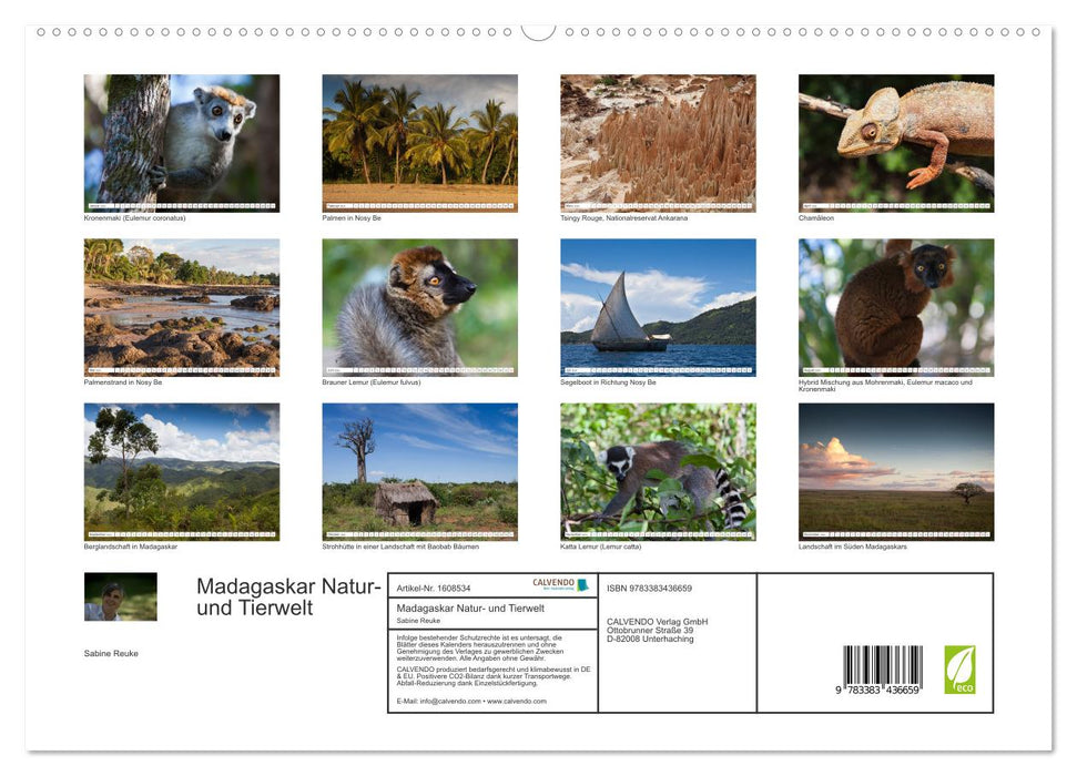 Madagascar. Fantastic nature and wildlife (CALVENDO Premium Wall Calendar 2024) 