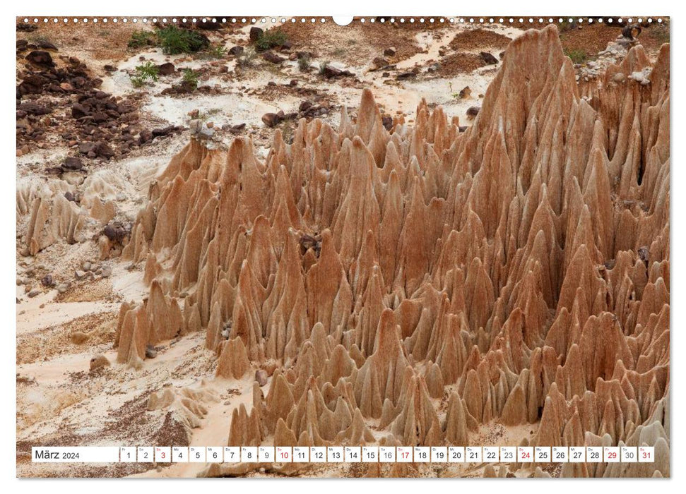 Madagascar. Fantastic nature and wildlife (CALVENDO Premium Wall Calendar 2024) 