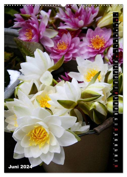 Beautiful bouquets (CALVENDO wall calendar 2024) 