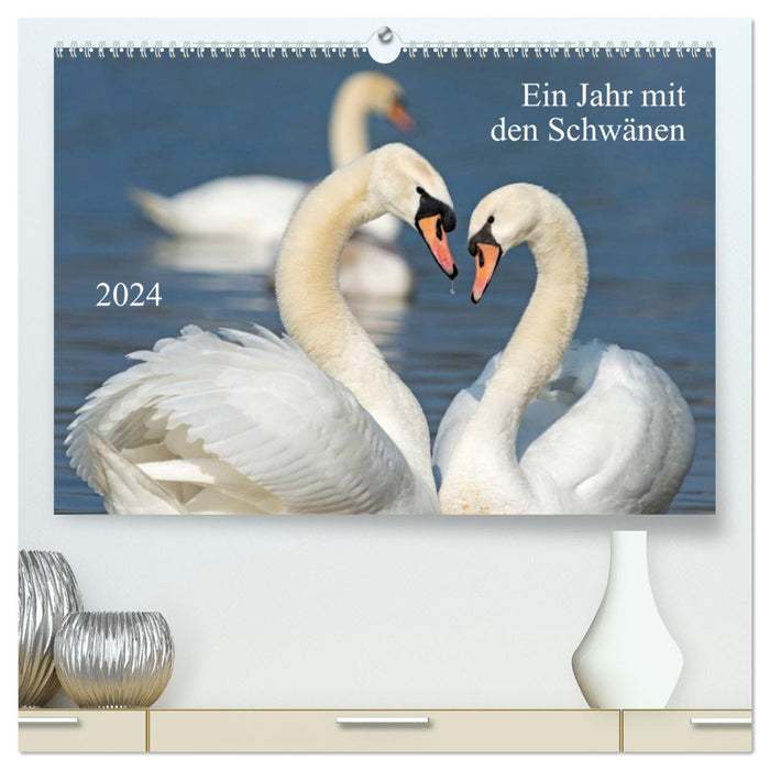 A year with the swans (CALVENDO Premium wall calendar 2024) 