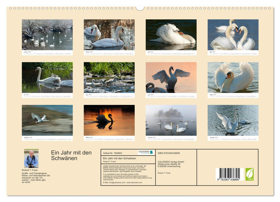 A year with the swans (CALVENDO Premium wall calendar 2024) 