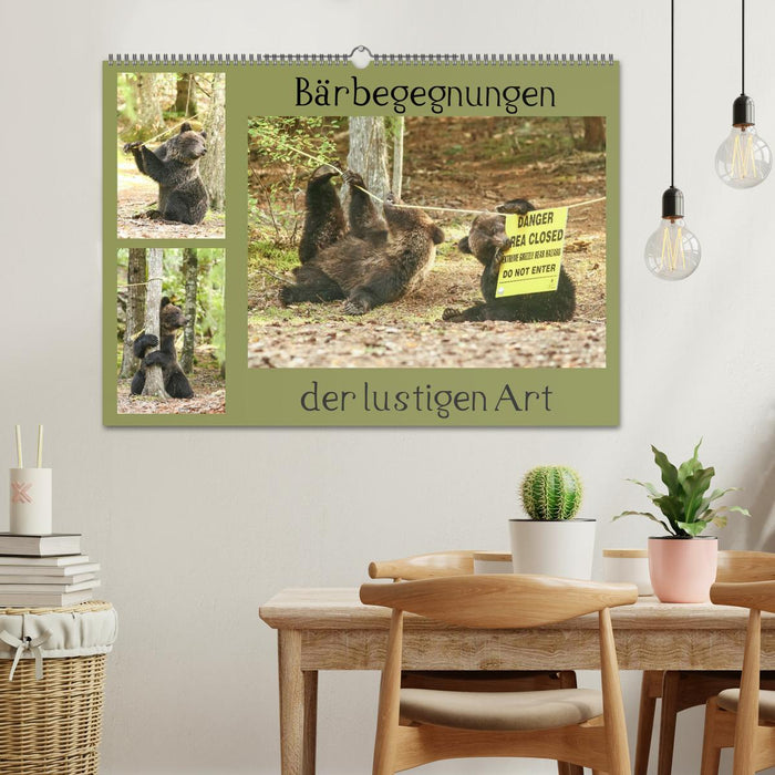 Funny bear encounters (CALVENDO wall calendar 2024) 