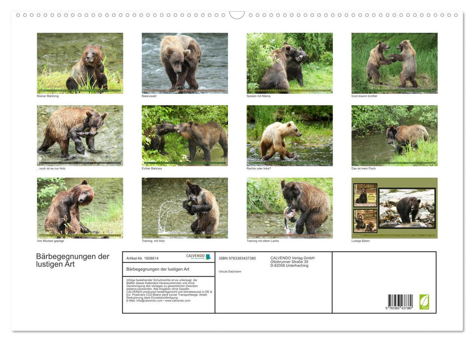 Funny bear encounters (CALVENDO wall calendar 2024) 