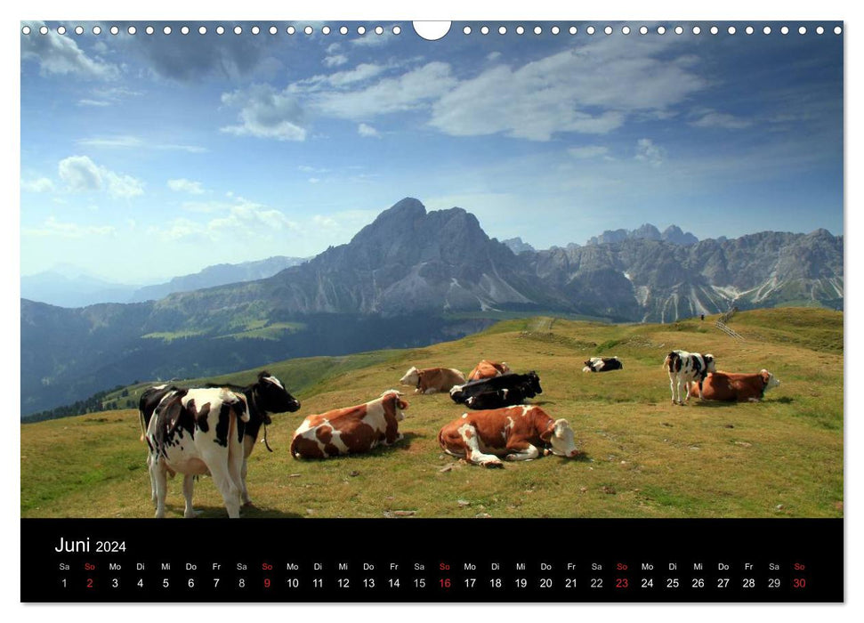 Südtirol, die Perle Italiens (CALVENDO Wandkalender 2024)