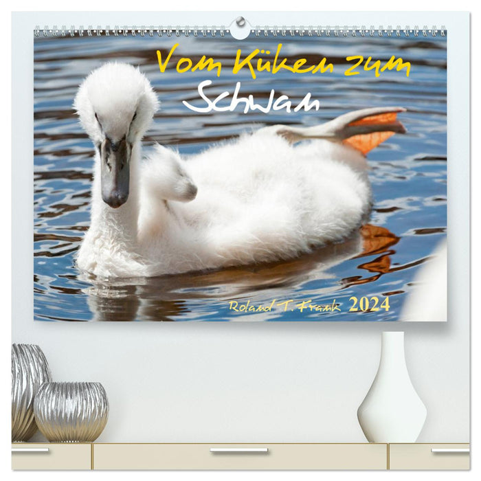 Vom Küken zum Schwan (CALVENDO Premium Wandkalender 2024)