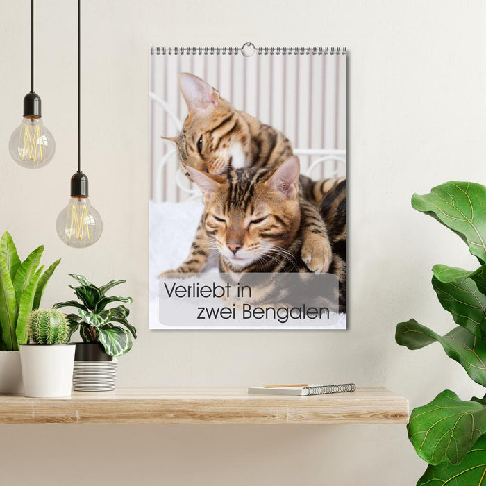 In love with two Bengals (CALVENDO wall calendar 2024) 