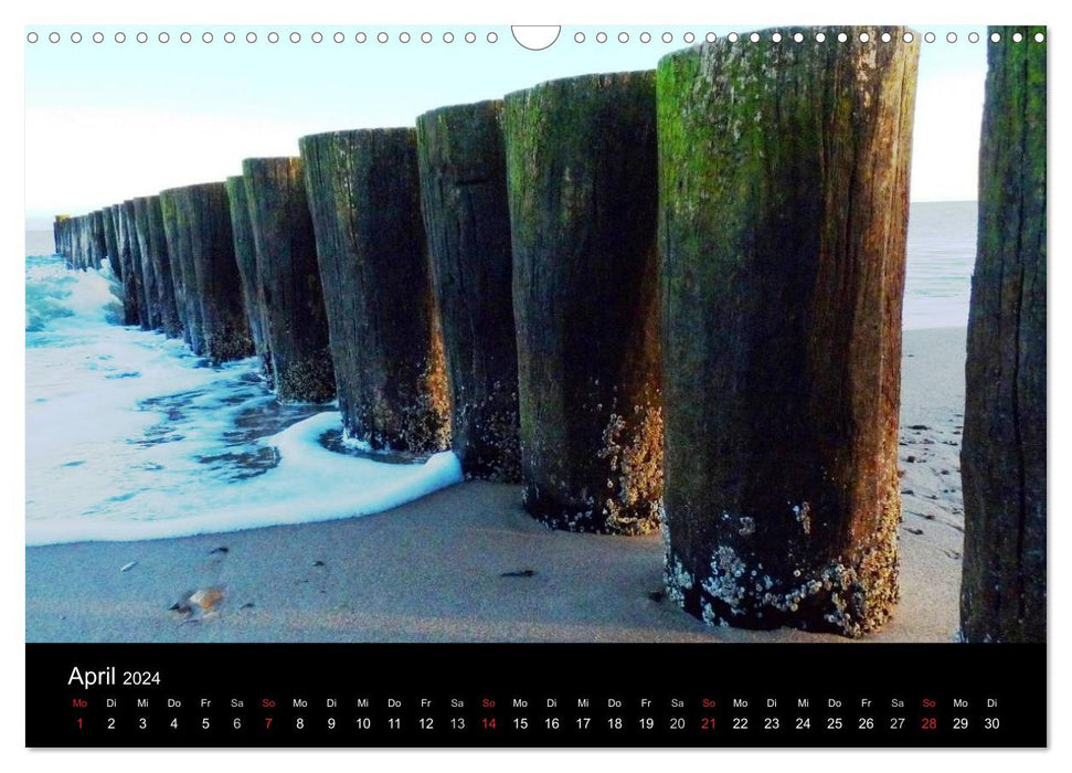 Die Ostsee - Ein Jahr am Meer (CALVENDO Wandkalender 2024)