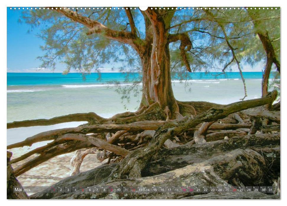 Hawaii ... it's not just Waikiki (CALVENDO wall calendar 2024) 