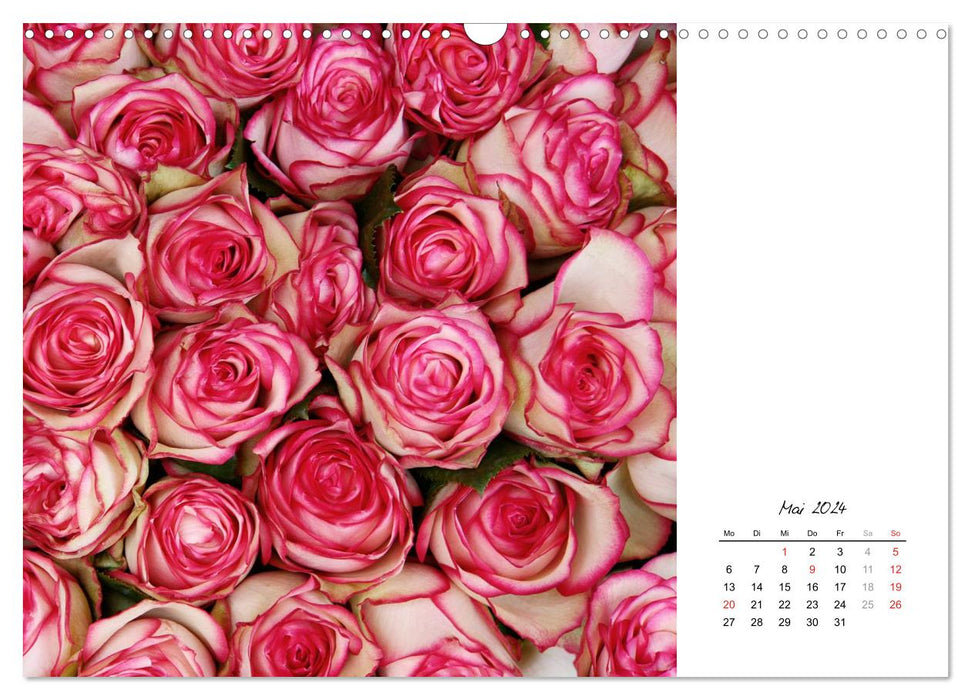 The many faces of roses (CALVENDO wall calendar 2024) 