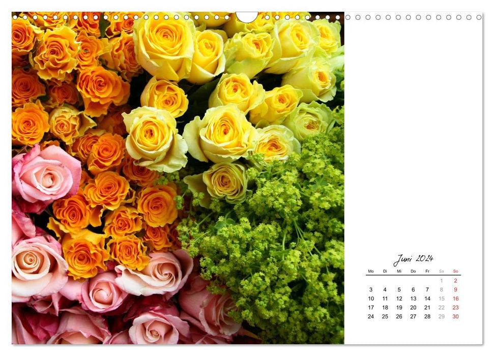 Die vielen Gesichter der Rosen (CALVENDO Wandkalender 2024)