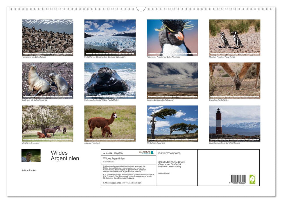 Wild Argentina (CALVENDO wall calendar 2024) 