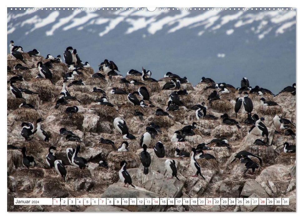 Wildes Argentinien (CALVENDO Wandkalender 2024)