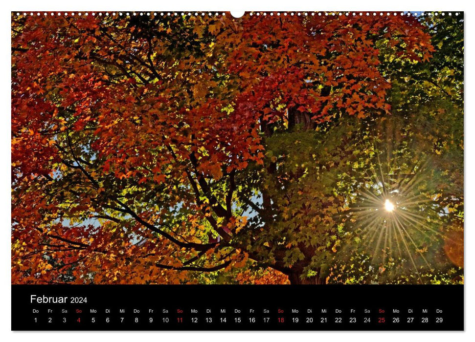 Autumn in Vermont (CALVENDO wall calendar 2024) 