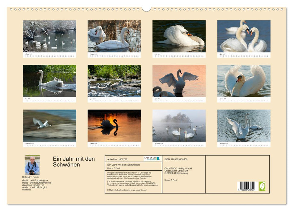 A year with the swans (CALVENDO wall calendar 2024) 