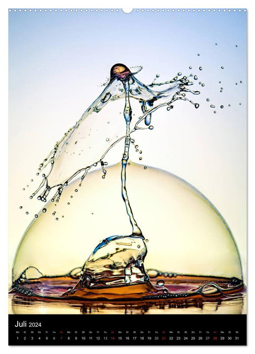 Experimentelle Fotografie Liquid Art (CALVENDO Premium Wandkalender 2024)