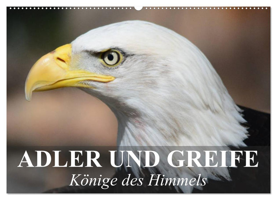 Adler und Greife - Könige des Himmels (CALVENDO Wandkalender 2024)