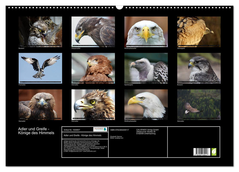 Eagles and griffins - kings of the sky (CALVENDO wall calendar 2024) 