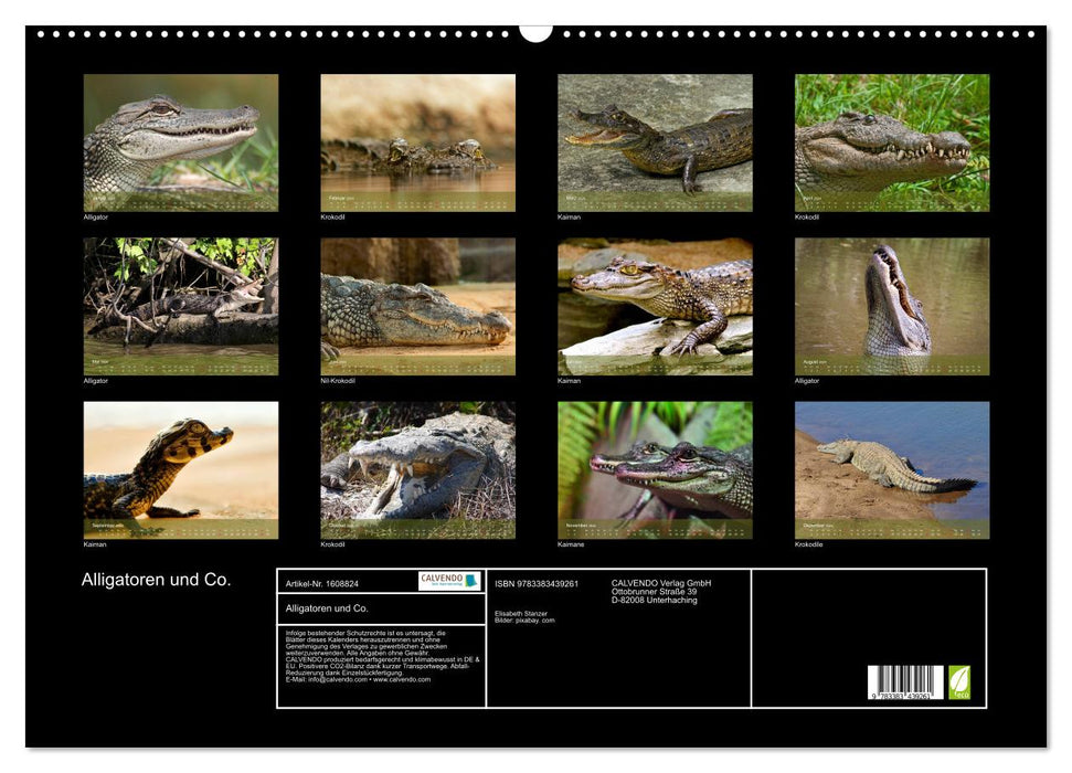 Alligators and Co. (CALVENDO wall calendar 2024) 