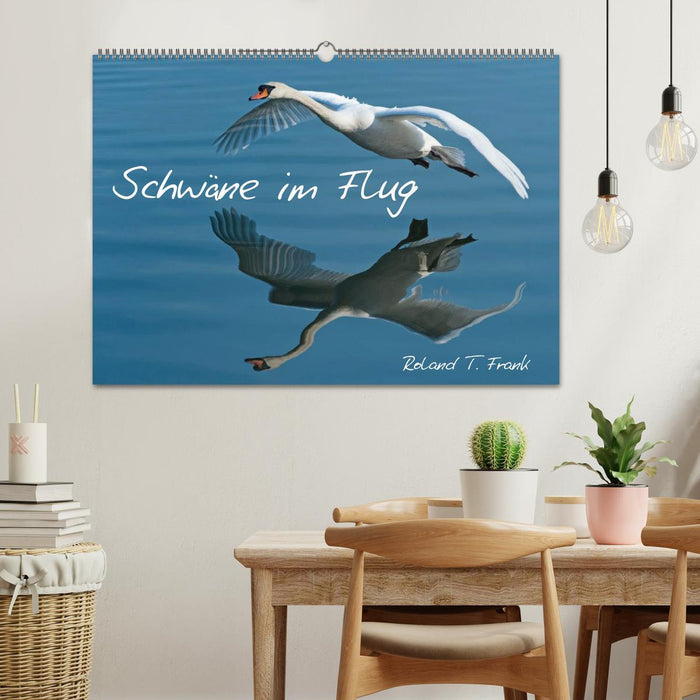 Swans in flight (CALVENDO wall calendar 2024) 