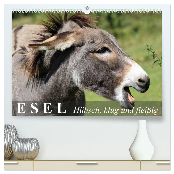 Esel - hübsch, klug und fleißig (CALVENDO Premium Wandkalender 2024)