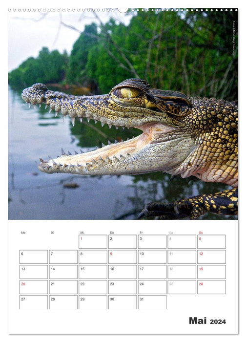 Sri Lanka 2024 - Exotisches Paradies - Jahresplaner (CALVENDO Premium Wandkalender 2024)