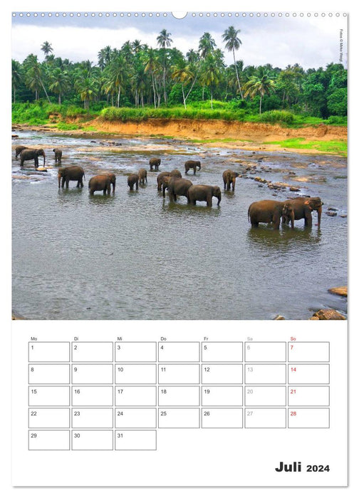 Sri Lanka 2024 - Exotic Paradise - Annual Planner (CALVENDO Premium Wall Calendar 2024) 