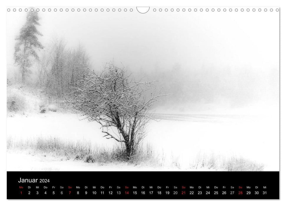 Farblose Kontraste, s/w Fotografie (CALVENDO Wandkalender 2024)