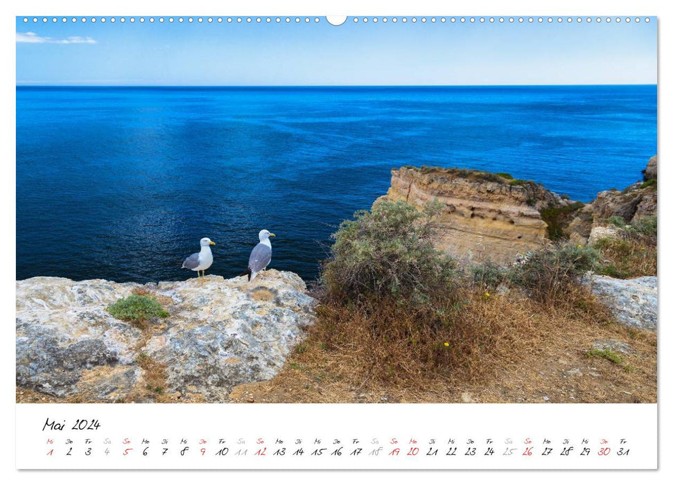 La côte atlantique portugaise - Algarve (Calvendo Premium Wall Calendar 2024) 