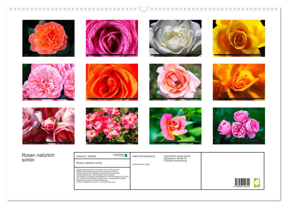 Roses naturally beautiful (CALVENDO wall calendar 2024) 