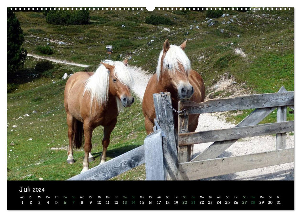 World Natural Heritage - In the realm of the DOLOMITES (CALVENDO Premium Wall Calendar 2024) 
