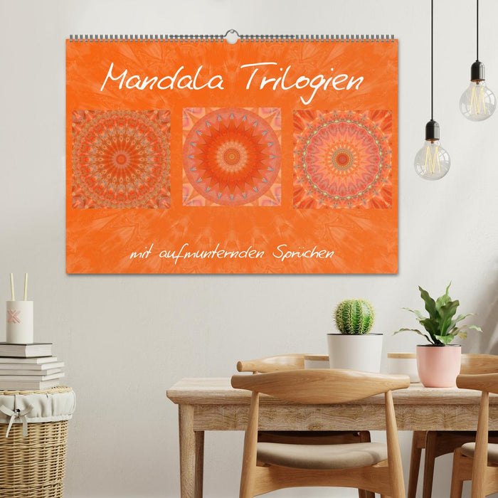 Mandala trilogies (CALVENDO wall calendar 2024) 
