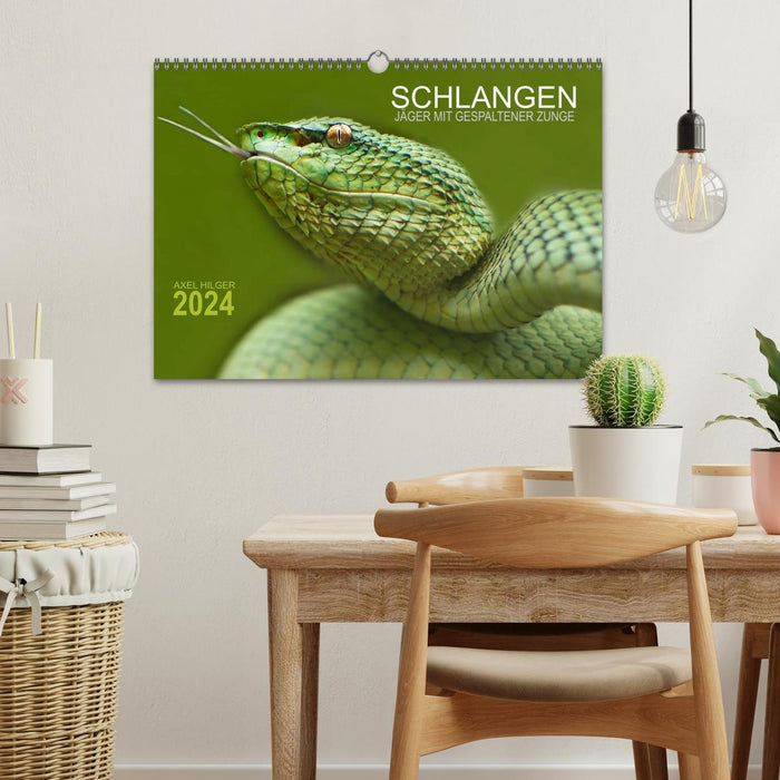 SNAKES. HUNTER WITH FORFT TONGUE (CALVENDO wall calendar 2024) 