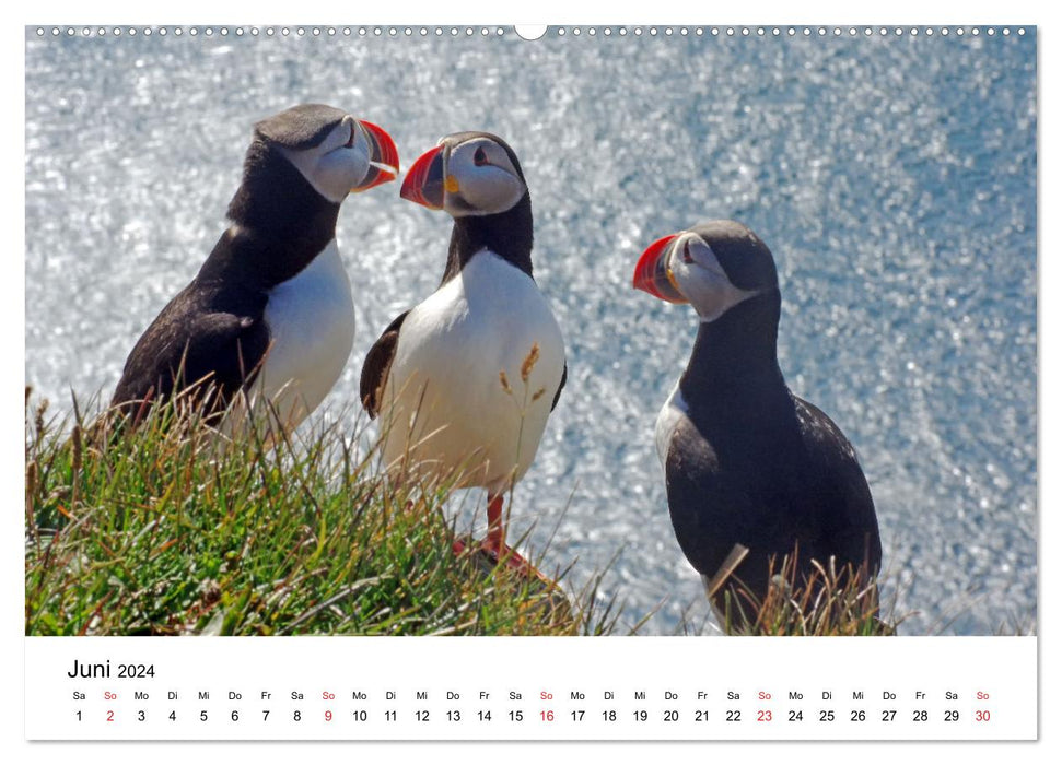 Norway 2024 - from fjord to fell (CALVENDO Premium Wall Calendar 2024) 