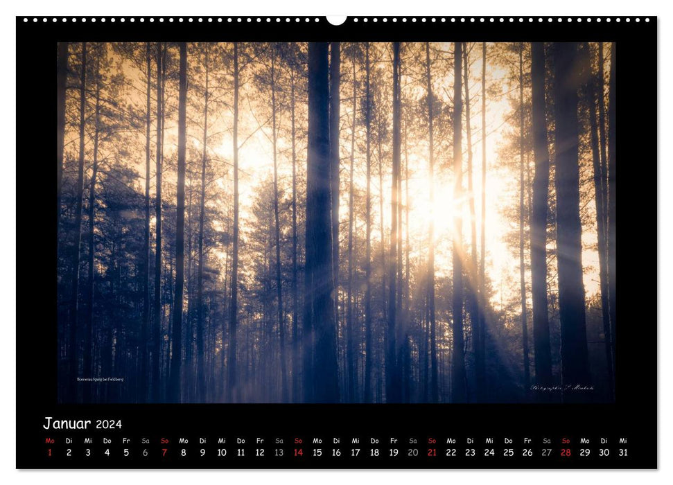 Mecklenburger Landschaften in magischem Licht (CALVENDO Premium Wandkalender 2024)
