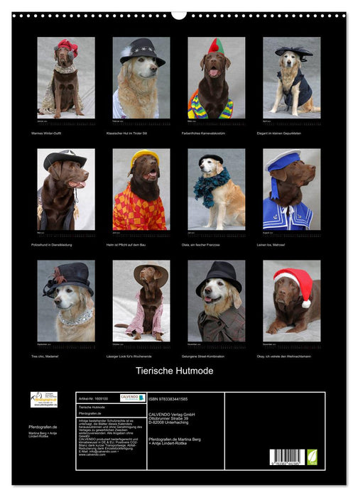 Animal hat fashion (CALVENDO wall calendar 2024) 