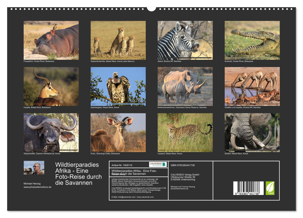 Wildlife paradise Africa - A photo journey through the savannahs (CALVENDO Premium Wall Calendar 2024) 