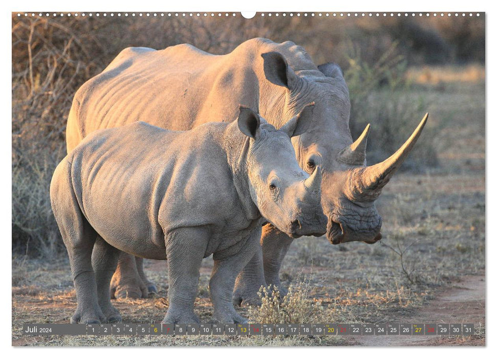 Wildlife paradise Africa - A photo journey through the savannahs (CALVENDO Premium Wall Calendar 2024) 