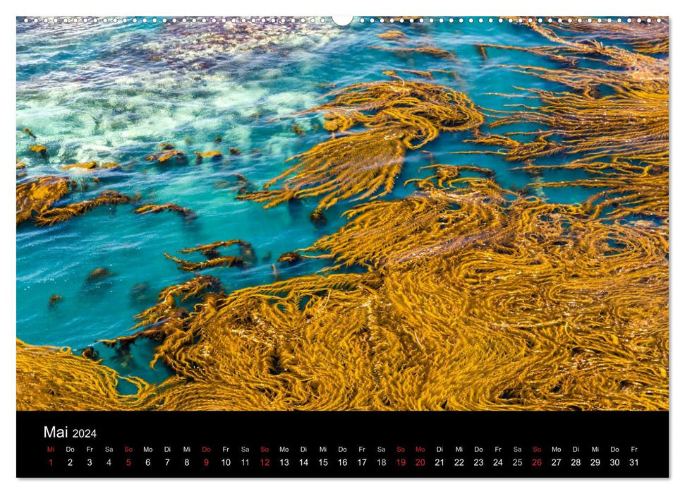 Meer und Küste (CALVENDO Premium Wandkalender 2024)