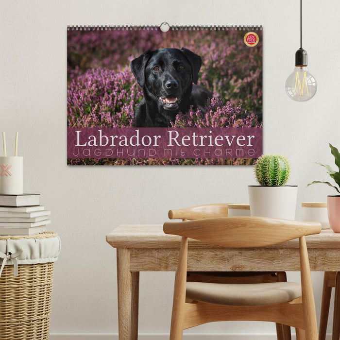 Labrador Retriever - chien de chasse avec charme (Calendrier mural CALVENDO 2024) 